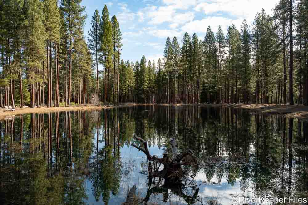 2023 CFR Oregon North - Lake Creek Lodge Pond | www.johnkreft.com