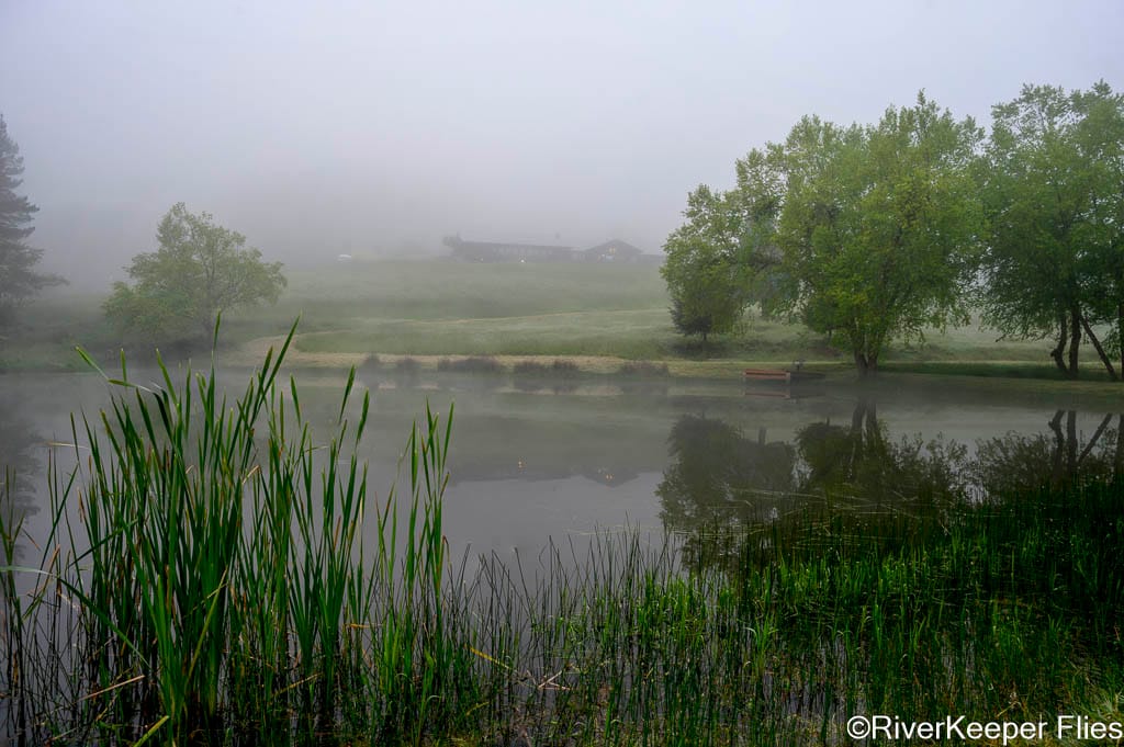 2026 CfR Retreat - Foggy Morning | www.johnkreft.com