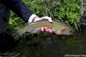 April Rainbow - Metolius River | www.johnkreft.com