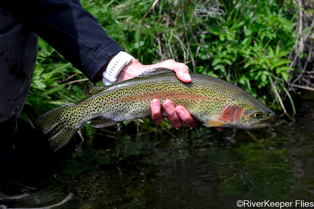 April Rainbow - Metolius River | www.johnkreft.com