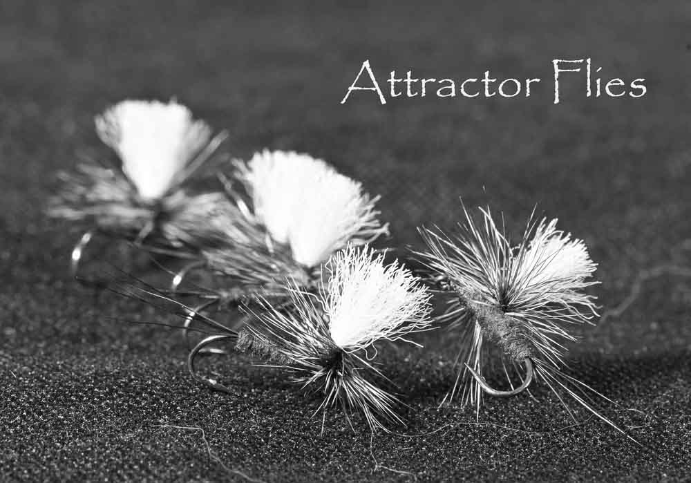 Attractor Flies | www.riverkeeperflies.com