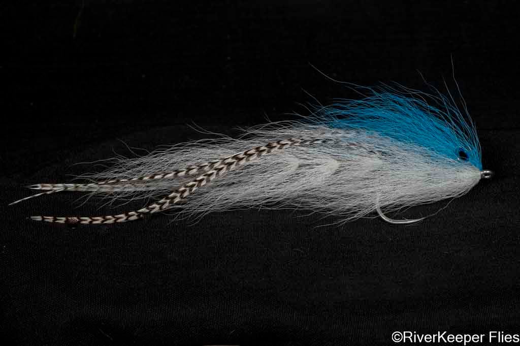 BEAST Fleye 1 | www.johnkreft.com