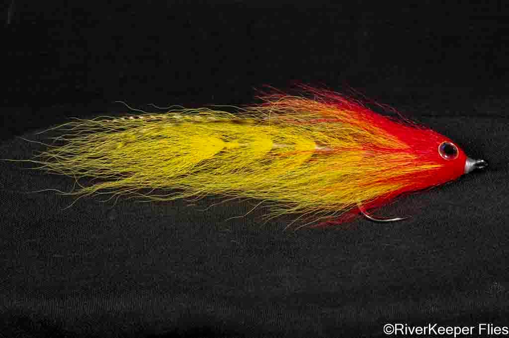 BEAST Fleye 10 | www.johnkreft.com