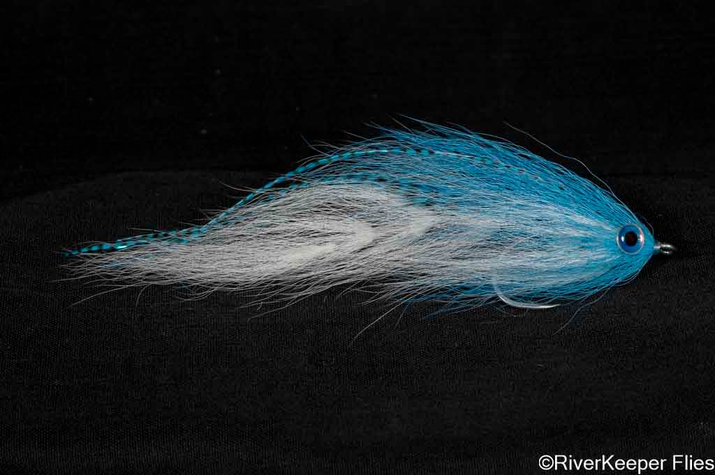 BEAST Fleye 2 | www.johnkreft.com