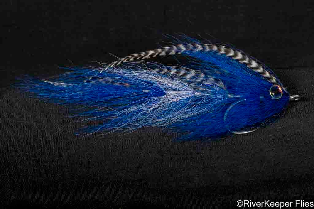 BEAST Fleye 3 | www.johnkreft.com