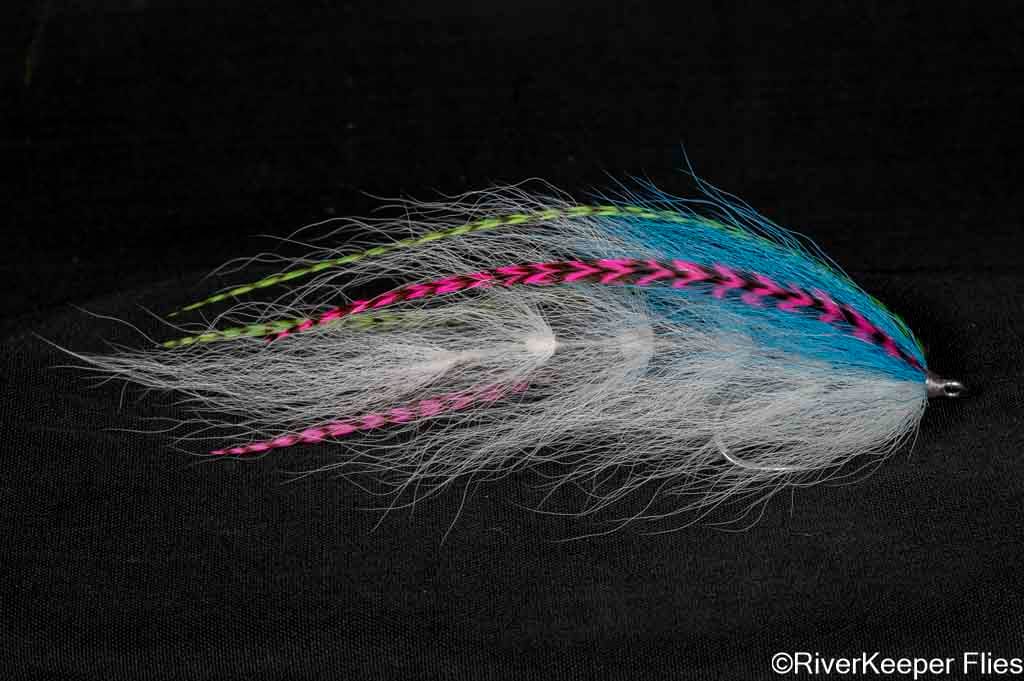 BEAST Fleye 4 | www.johnkreft.com