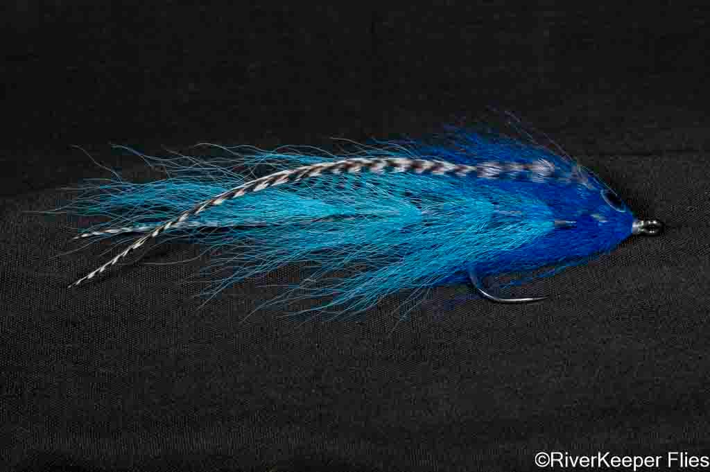 BEAST Fleye 5 | www.johnkreft.com