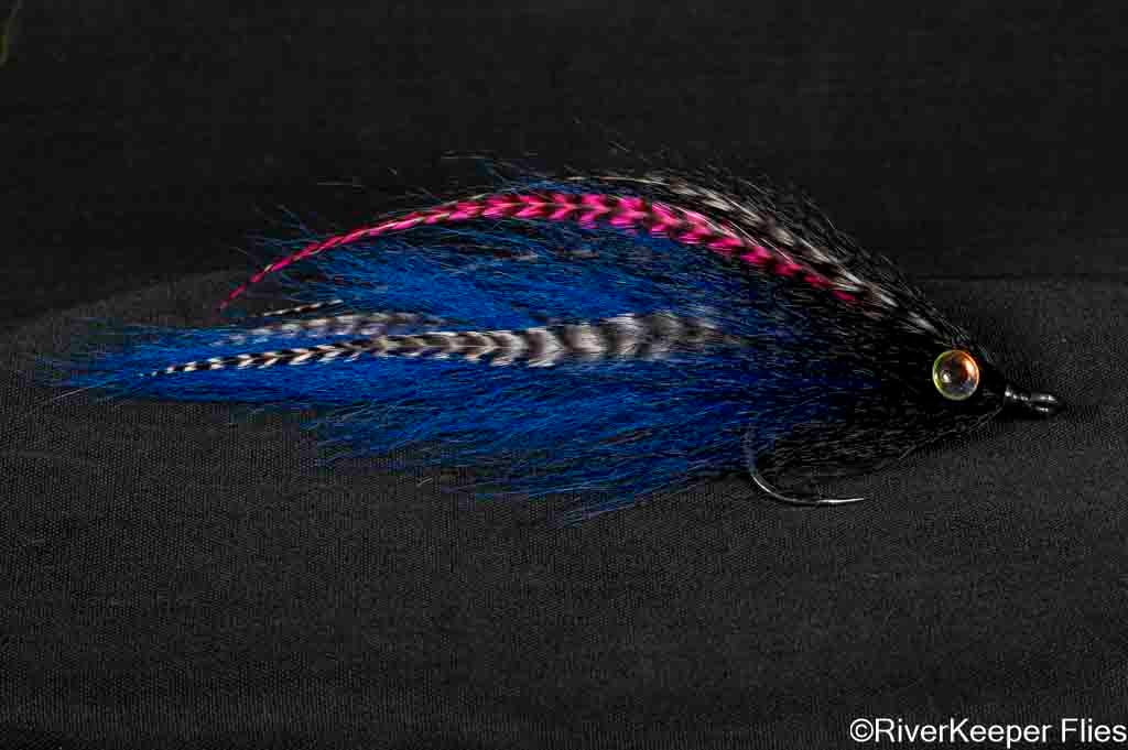 BEAST Fleye 6 | www.johnkreft.com