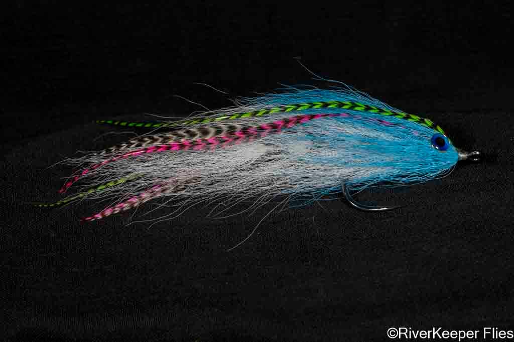 BEAST Fleye 7 | www.johnkreft.com