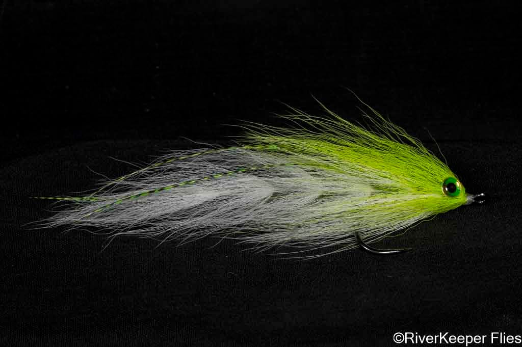 BEAST Fleye 8 | www.johnkreft.com