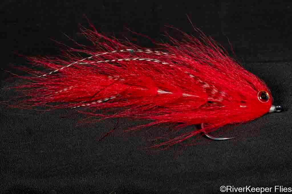 BEAST Fleye 9 | www.johnkreft.com