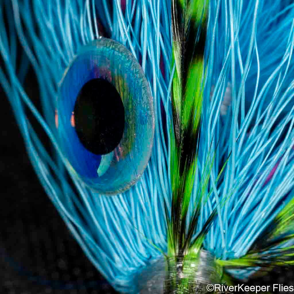 BEAST Fleye Closeup | www.johnkreft.com