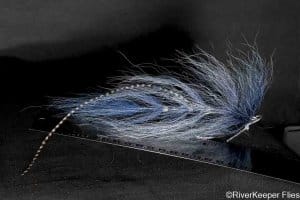 BEAST Fleye Sample | www.johnkreft.com