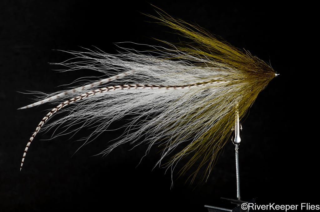 BEAST Fleye of the Vise | www.johnkreft.com