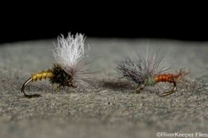 BWO Klinkhamer Variant and BWO Quigley Film Critic | www.johnkreft.com