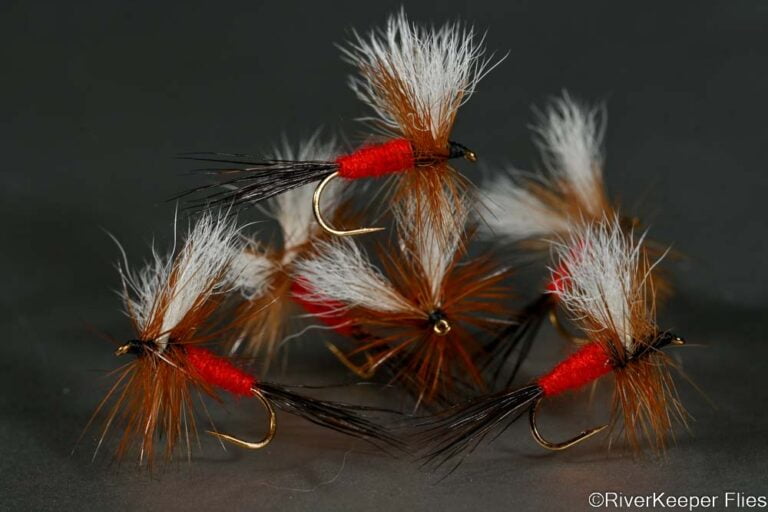Beetle Bug Coachman Flies | www.riverkeeperflies.com