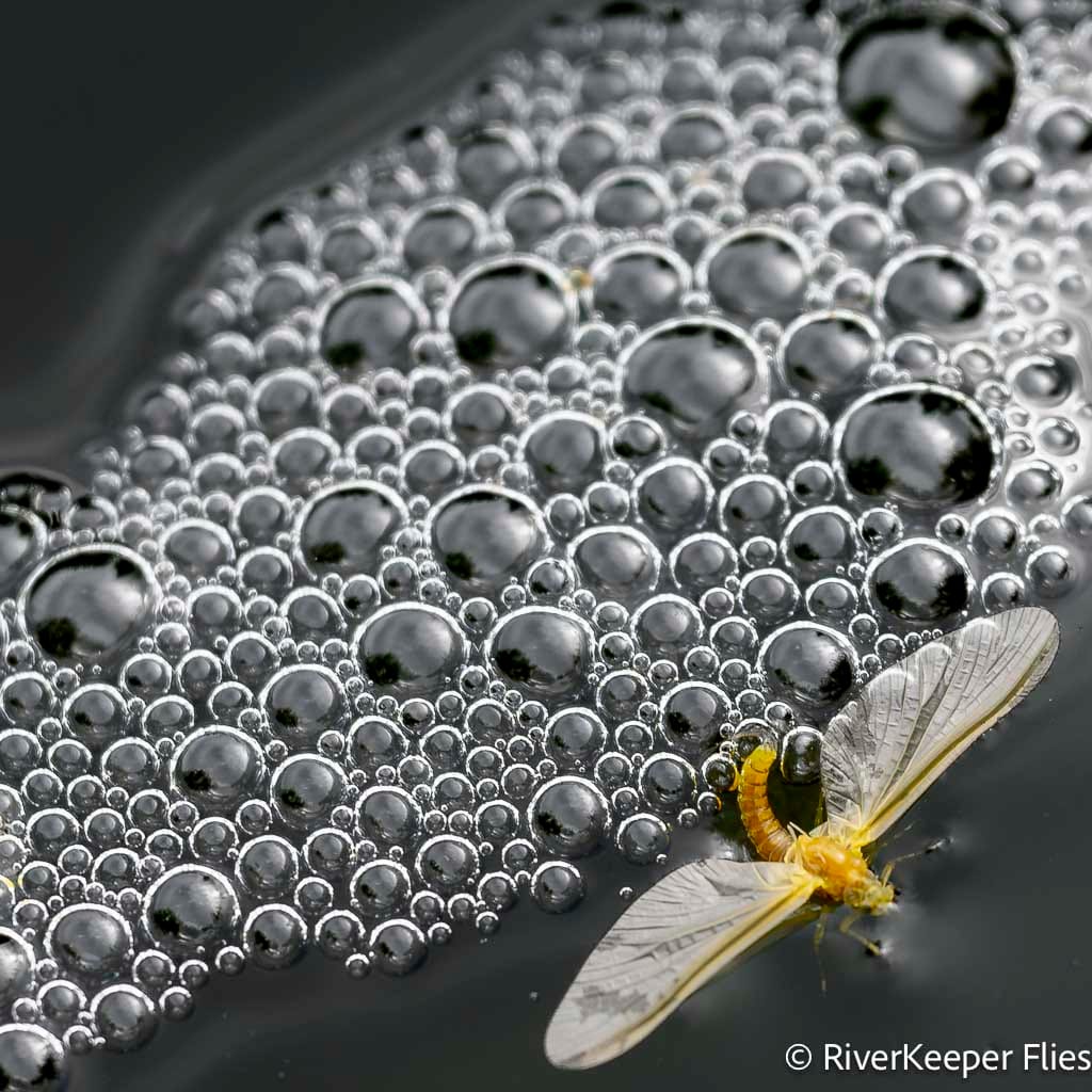 Bubbles and Mayfly - Metolius River | www.johnkreft.com