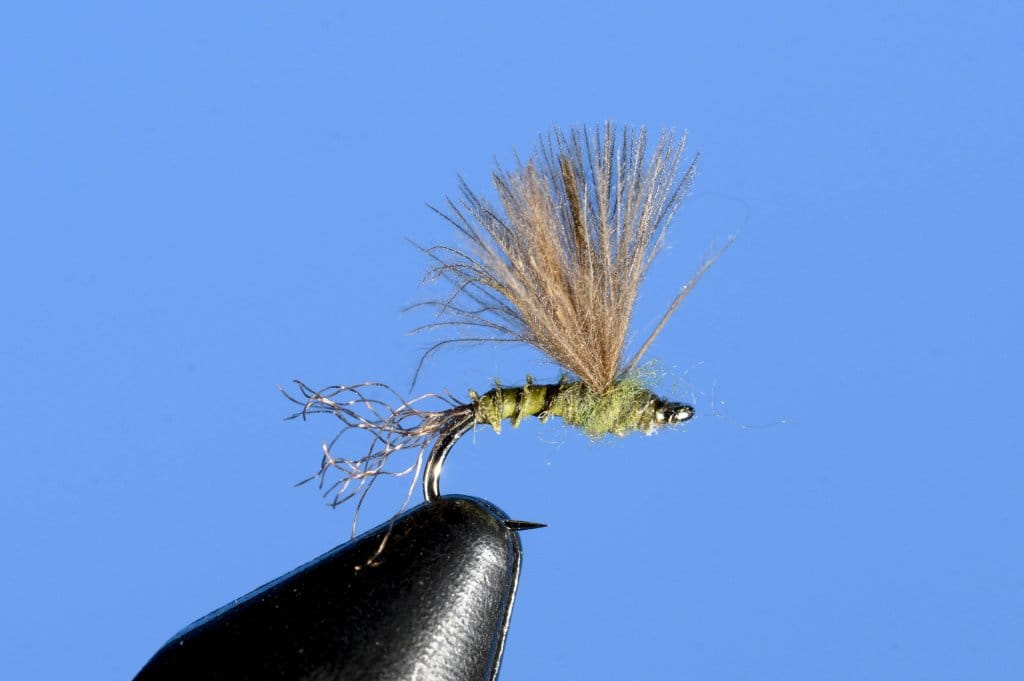 CDC & Biot Sparkle Dun BWO #18 | www.johnkreft.com