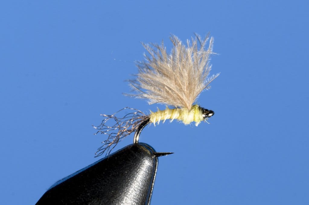 CDC & Biot Sparkle Dun PMD #18 | www.johnkreft.com