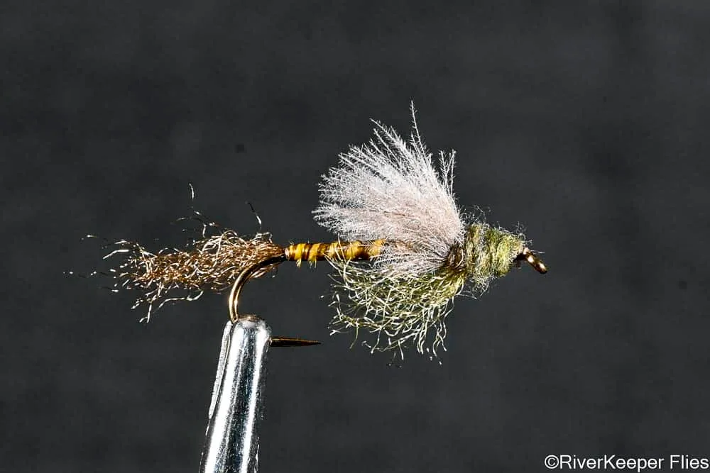 CDC Emerging Dun - Green Drake | www.johnkreft.com