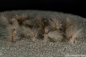 CDC Little Olive Stone Flies | www.johnkreft.com