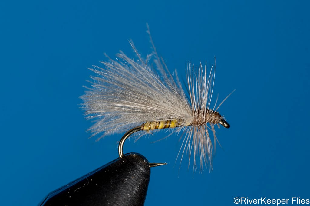 CDC Little Olive Stone | www.johnkreft.com