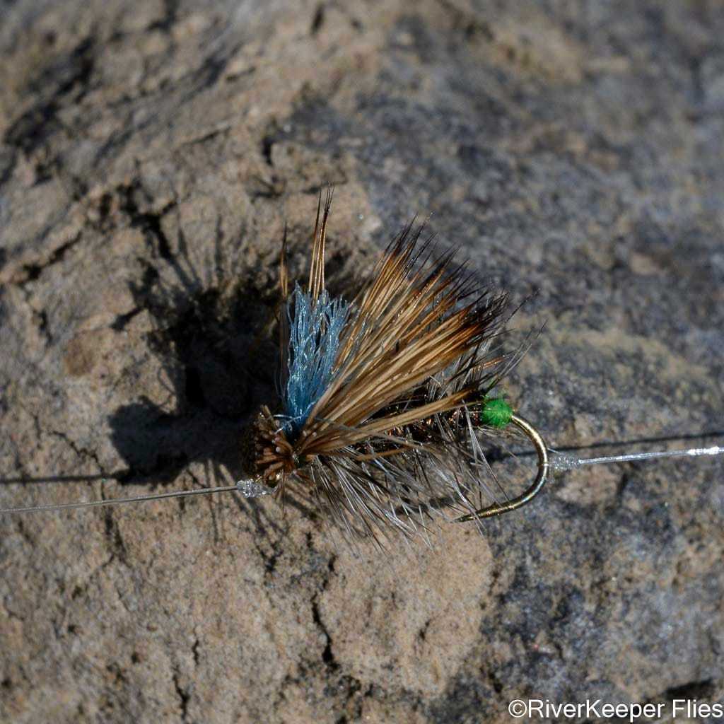 Caddis Dry Fly | www.johnkreft.com