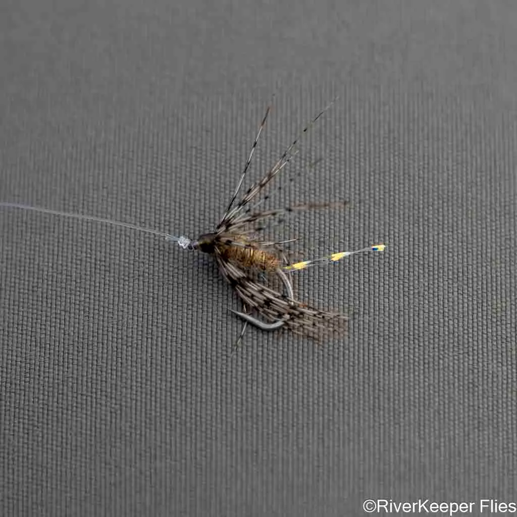 Caddis Soft Hackle - Upper Columbia River - www.johnkreft.com