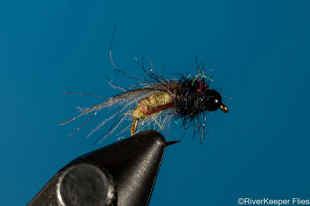 Caddistrophic Caddis Olive | www.riverkeeperflies.com