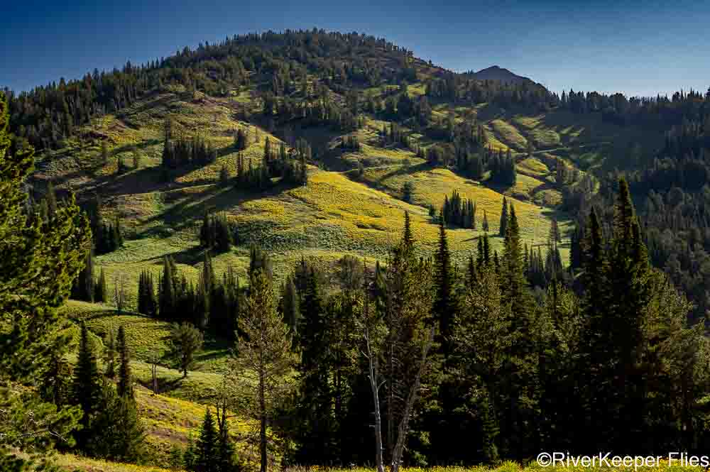 Canyon to Roosevelt Scenery | www.johnkreft.com