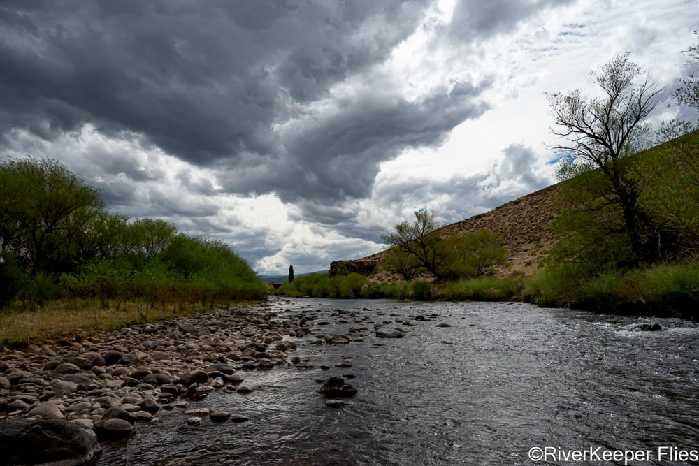 Cloudy Day on Rio Codihue | www.johnkreft.com
