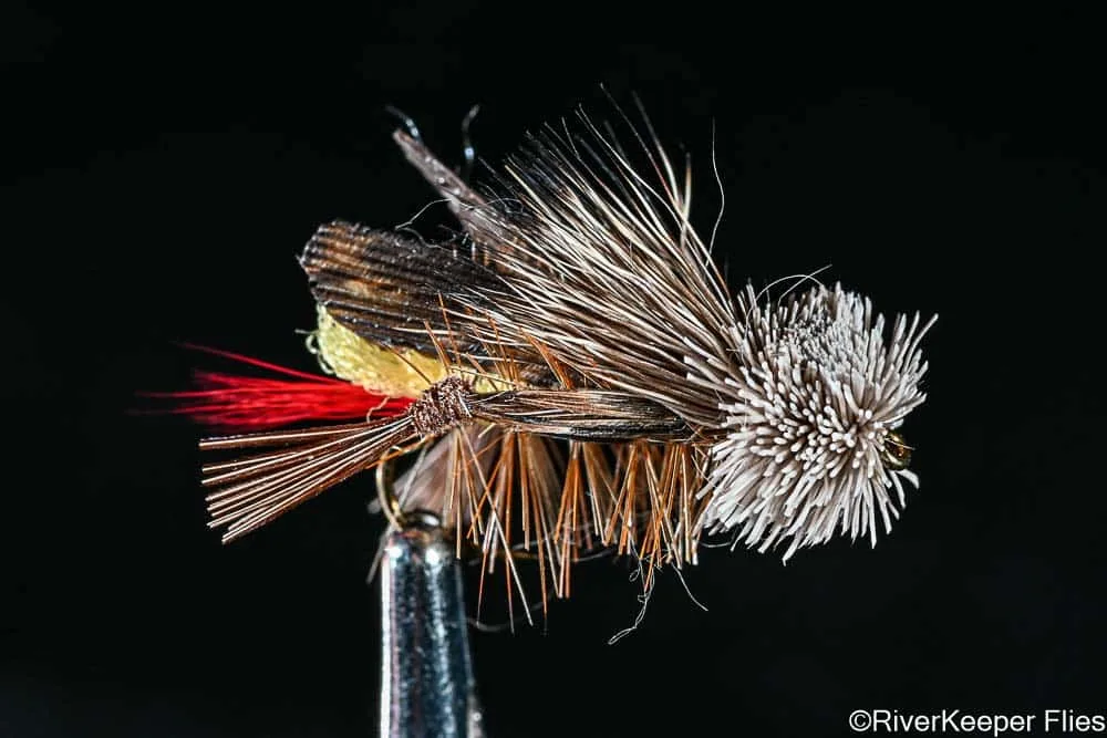 Dave's Hopper | www.johnkreft.com