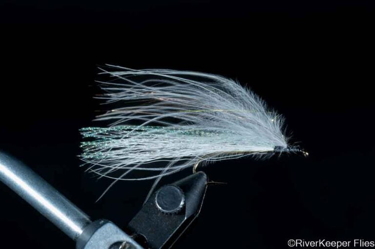 Denny's Shiner Minnow | www.riverkeeperflies.com