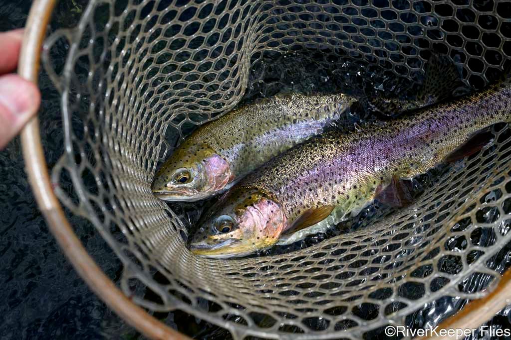 Deschutes Double | www.johnkreft.com