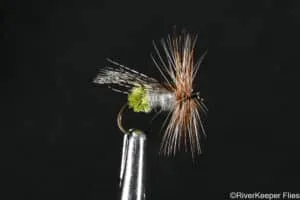 Dette Caddis | www.johnkreft.com