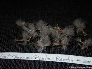 Dozen Last Chance Cripple Baetis | www.johnkreft.com