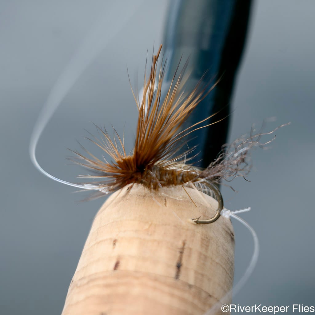 E/C Caddis - Upper Columbia River | www.johnkreft.com