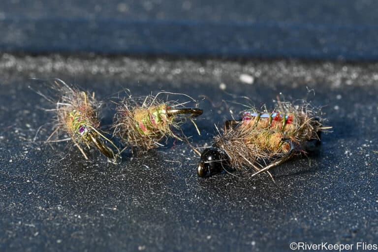 Electric Caddis Flies | www.johnkreft.com