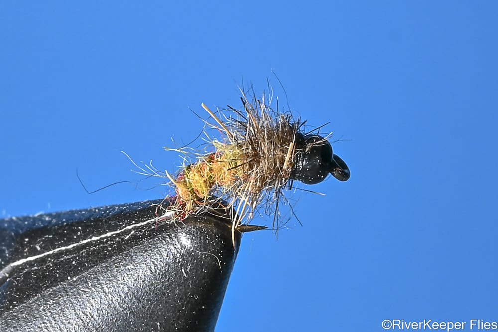 Electric Caddis | www.johnkreft.com