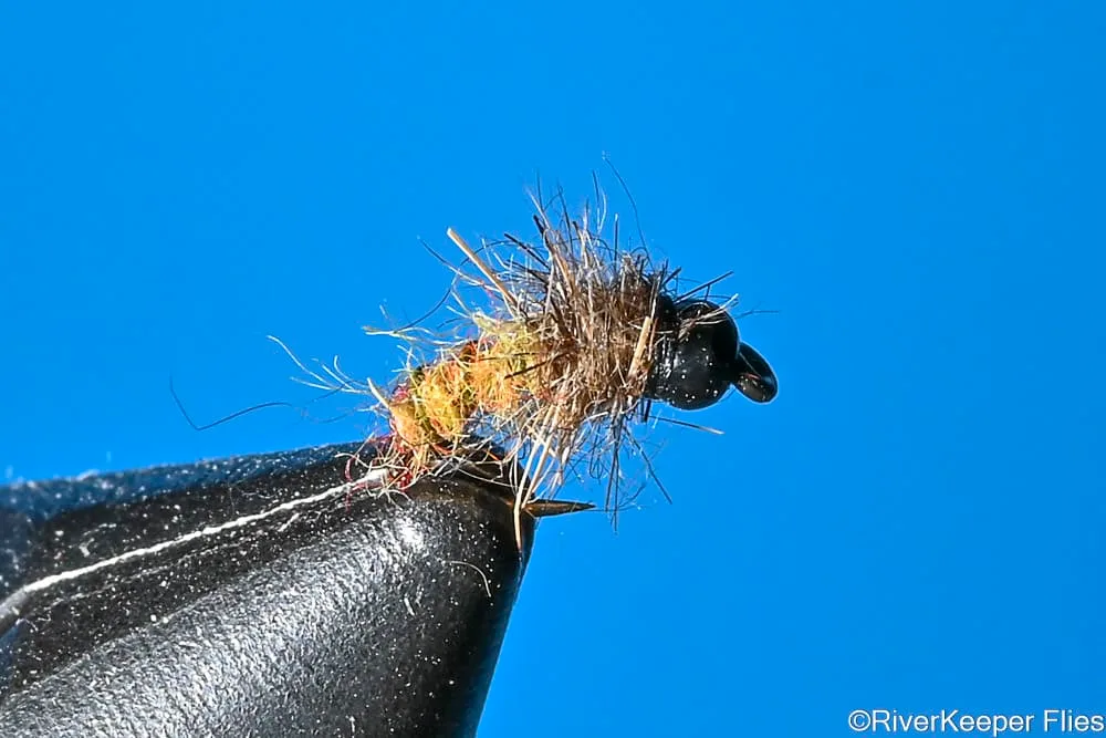 Electric Caddis | www.johnkreft.com