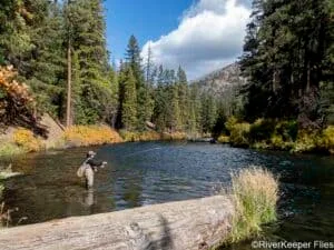 Fall Flyfishing on Metolius | www.johnkreft.com