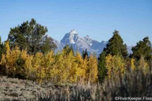 Fall in the Tetons | www.johnkreft.com