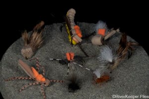 Favorite Terrestrials | www.johnkreft.com