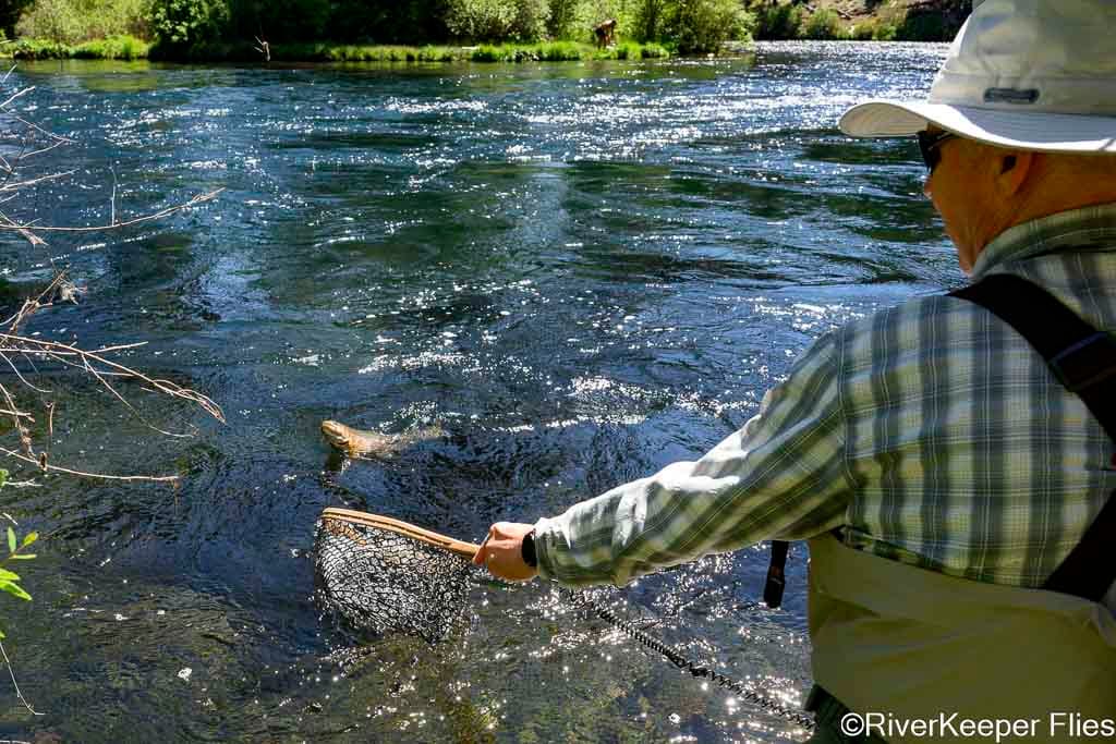 Fighting Metolius Rainbow | www.johnkreft.com
