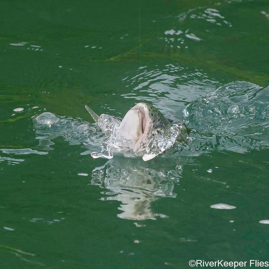 Fighting Rainbow on Rio Futaleufú | www.johnkreft.com