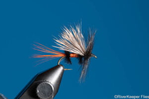 Fire Coachman Trude Dry Fly