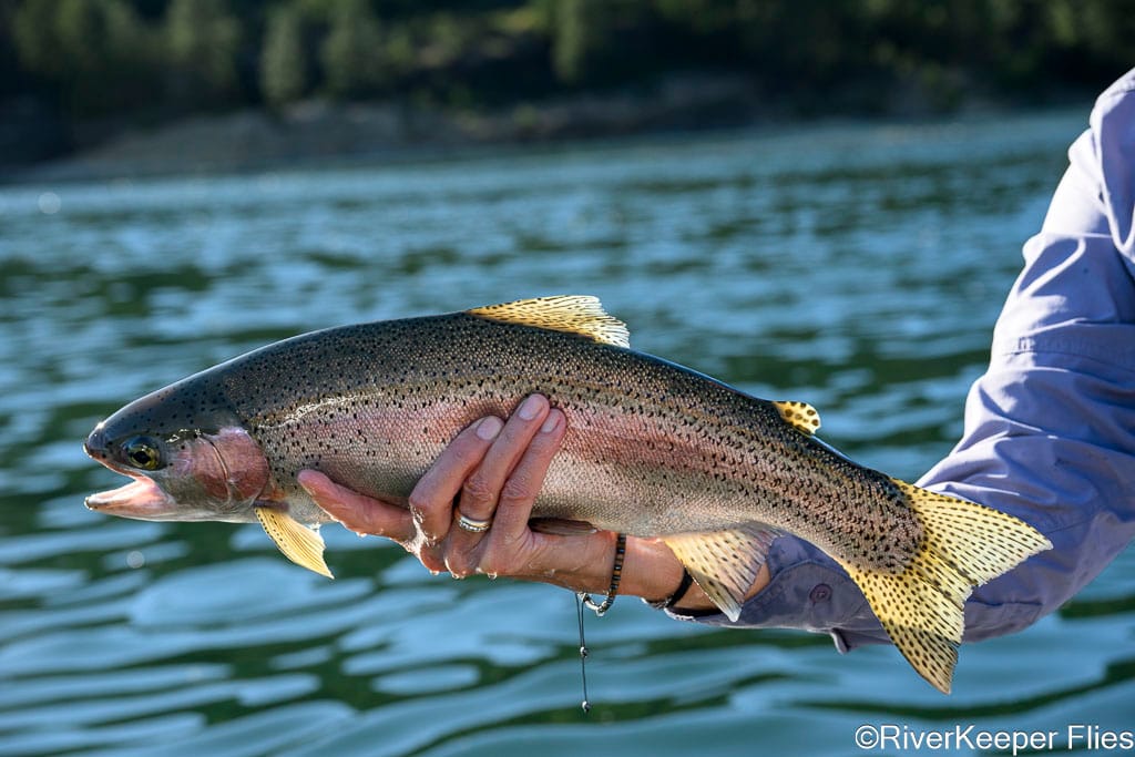 First Night Rainbow - Upper Columbia River | www.johnkreft.com