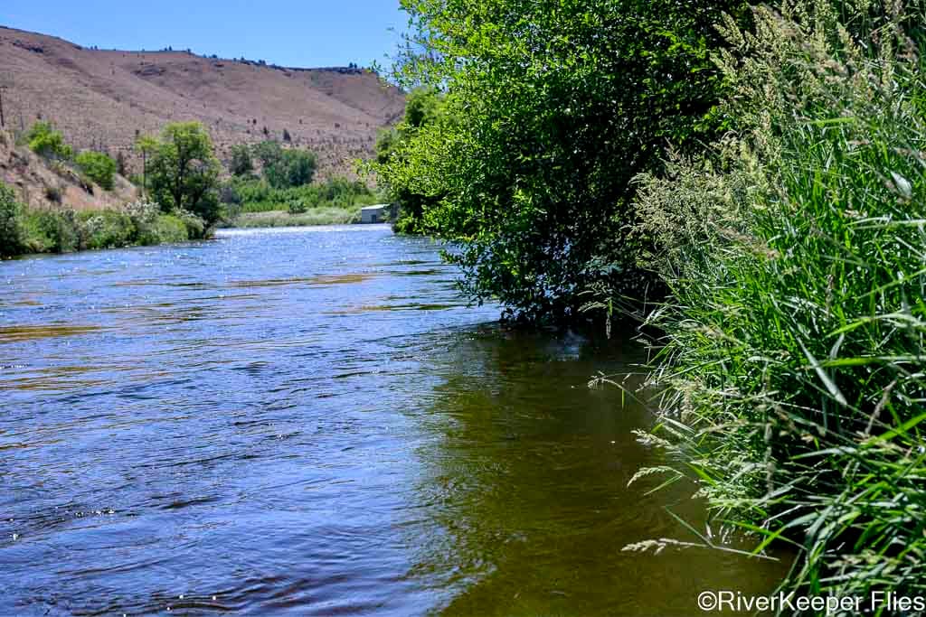 Fishy Spot - Deschutes | www.johnkreft.com