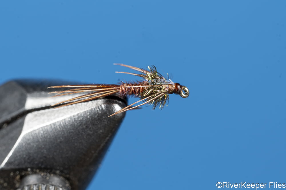 Flashback Pheasant Tail Nymph | www.johnkreft.com