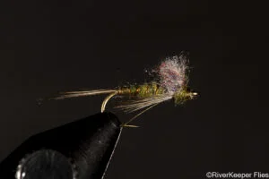 Floating Nymph | www.johnkreft.com